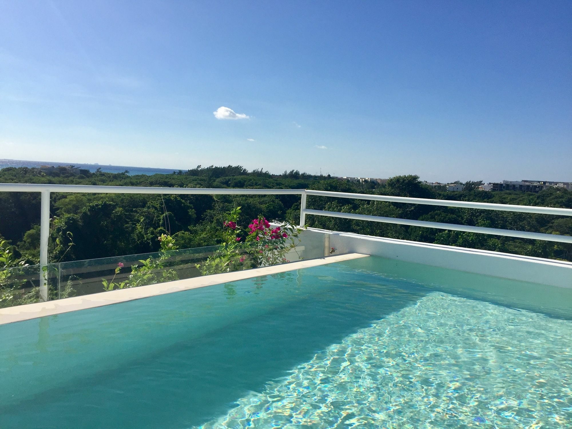 Ocean Zen Suites On 5Th Avenue - Adults Only Playa del Carmen Zewnętrze zdjęcie