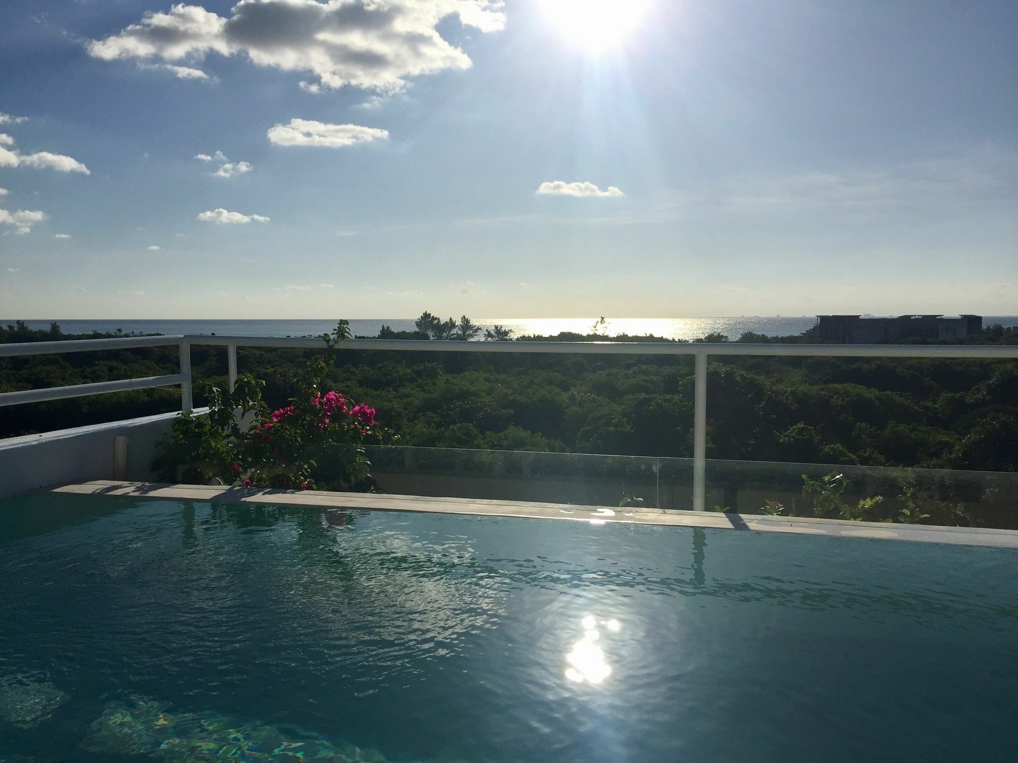 Ocean Zen Suites On 5Th Avenue - Adults Only Playa del Carmen Zewnętrze zdjęcie
